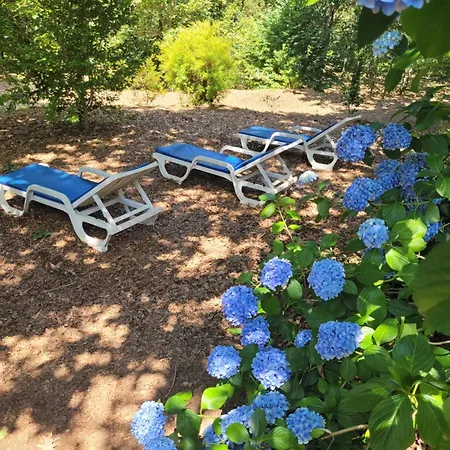 בקתה Chale, Pedra, Isolada, Natureza, Rio - Ecoturismo Soutinho