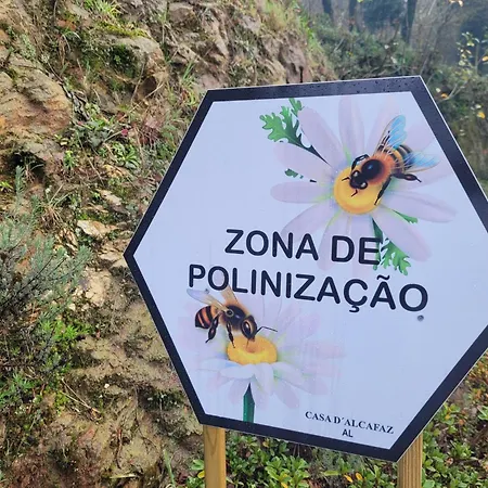 Chale, Pedra, Isolada, Natureza, Rio - Ecoturismo *