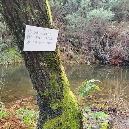 Chale, Pedra, Isolada, Natureza, Rio - Ecoturismo Soutinho