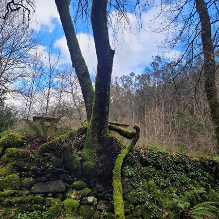 Chale, Pedra, Isolada, Natureza, Rio - Ecoturismo Alpesi faház *