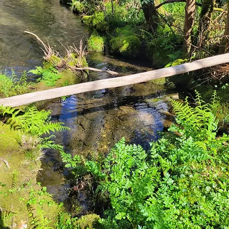 Chale, Pedra, Isolada, Natureza, Rio - Ecoturismo