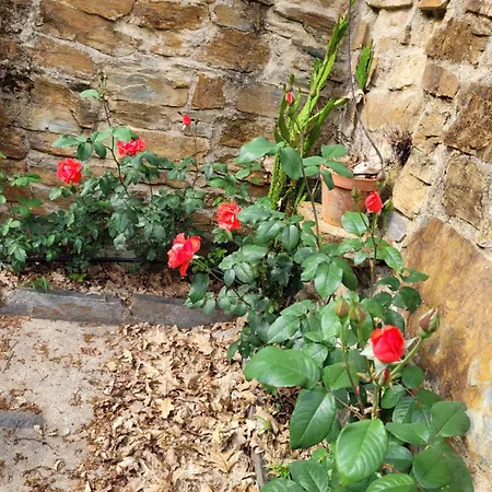 Chale, Pedra, Isolada, Natureza, Rio - Ecoturismo בקתה *