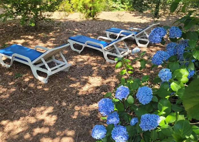 Chalé Chale, Pedra, Isolada, Natureza, Rio - Ecoturismo Soutinho