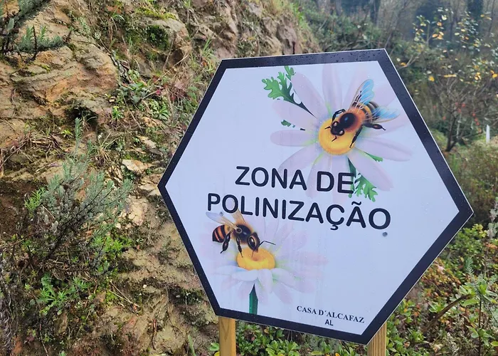 Chale, Pedra, Isolada, Natureza, Rio - Ecoturismo *