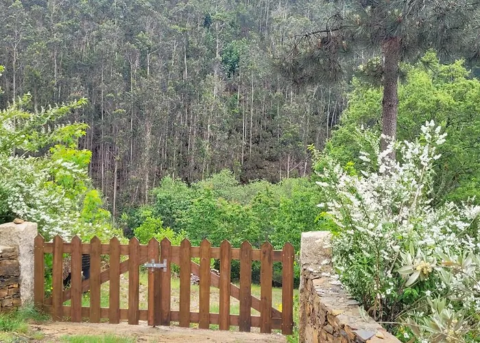 Chale, Pedra, Isolada, Natureza, Rio - Ecoturismo *