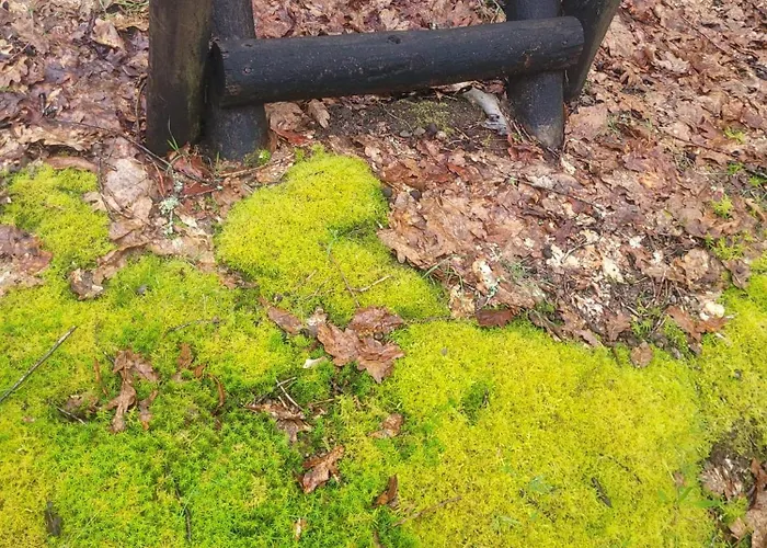 Chalé Chale, Pedra, Isolada, Natureza, Rio - Ecoturismo Soutinho