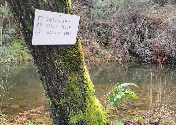 Chale, Pedra, Isolada, Natureza, Rio - Ecoturismo Soutinho