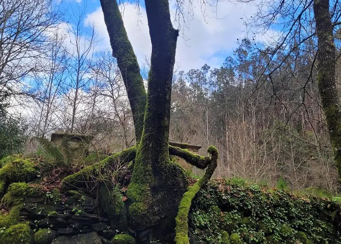 Chale, Pedra, Isolada, Natureza, Rio - Ecoturismo Chalé *