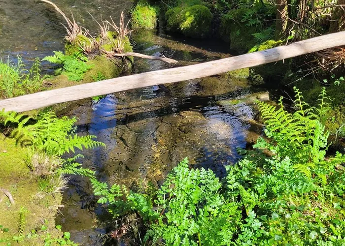Chale, Pedra, Isolada, Natureza, Rio - Ecoturismo