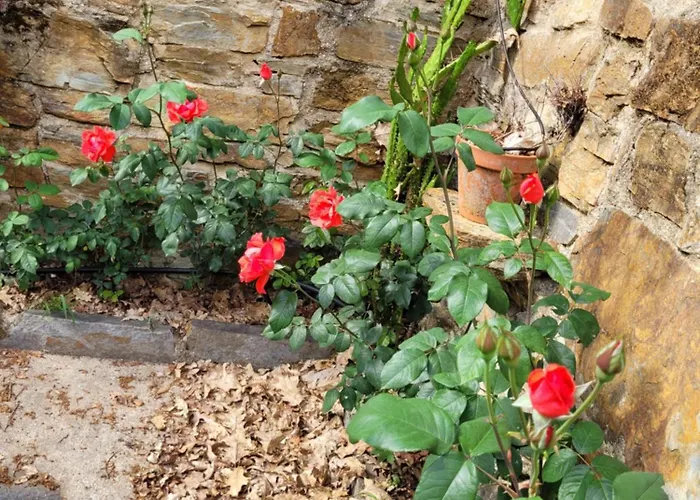 Chale, Pedra, Isolada, Natureza, Rio - Ecoturismo Chalé *